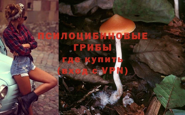 MDMA Premium VHQ Медногорск