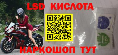 индика Аргун