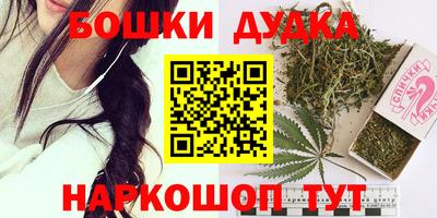 индика Аргун