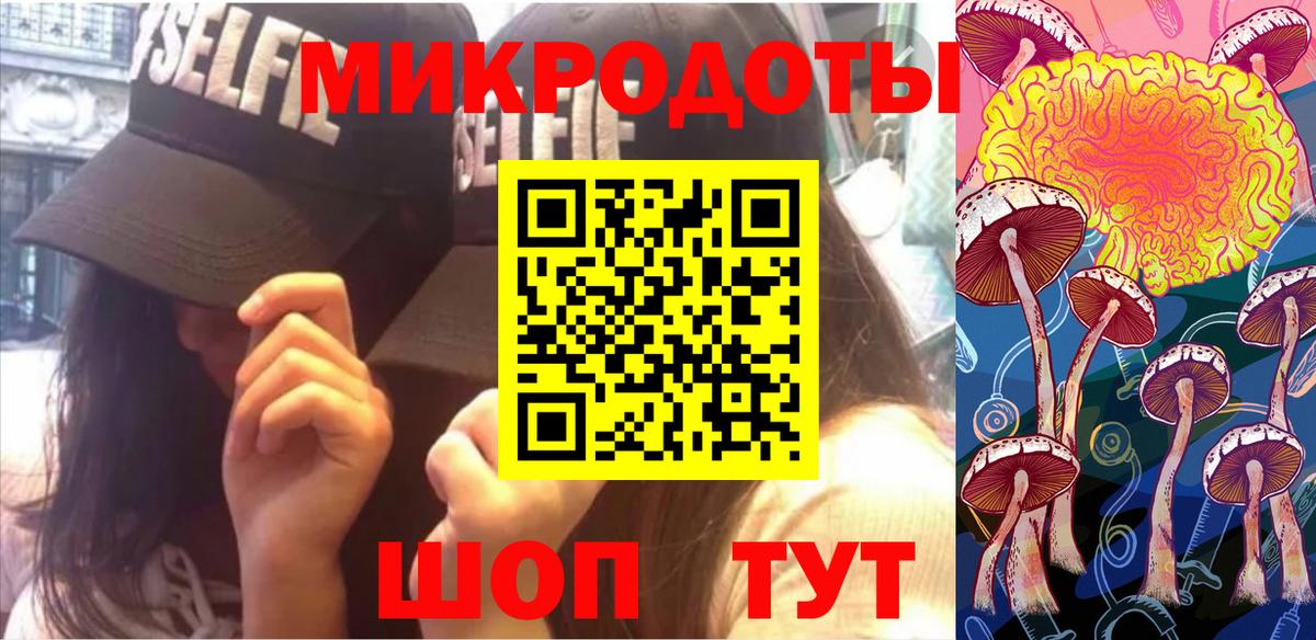 Псилоцибиновые грибы Psilocybine cubensis  Галлюциногенные грибы Cubensis  Сунжа 