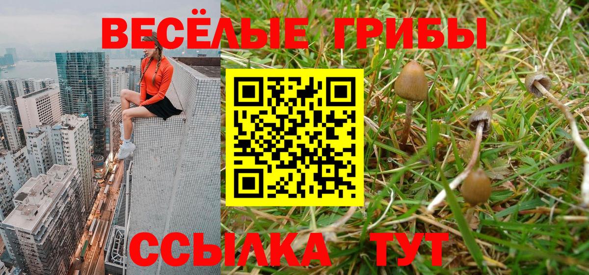 Галлюциногенные грибы Psilocybine cubensis  Вход с VPN  купить   Сунжа  Галлюциногенные грибы Magic Shrooms 