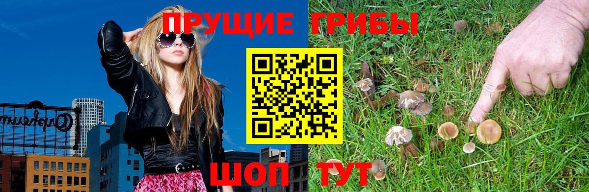 Галлюциногенные грибы ЛСД Сунжа