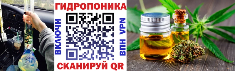 где купить   Сунжа  Бошки марихуана сатива 